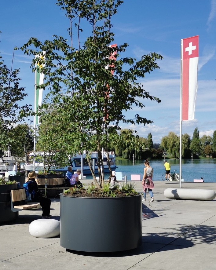 Projektbild 2 zur Stelle Leitung Geschäftsstelle und Programmleitung in Thurgau